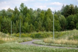 Wengemuth Landschaftsarchitektur