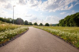 Wengemuth Landschaftsarchitektur