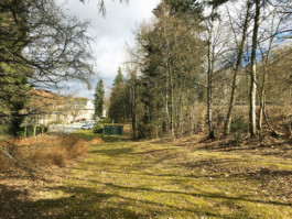 Wengemuth Landschaftsarchitektur