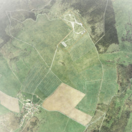 Wengemuth Landschaftsarchitektur