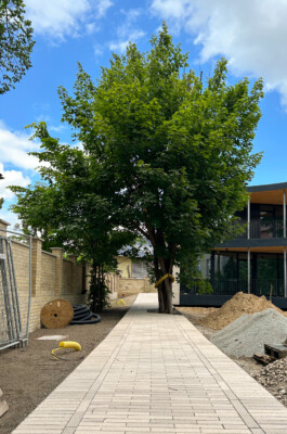 Wengemuth Landschaftsarchitektur