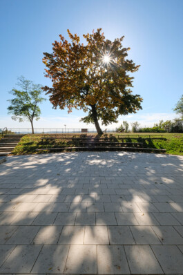 Wengemuth Landschaftsarchitektur