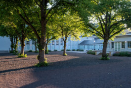 Wengemuth Landschaftsarchitektur