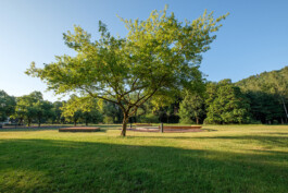 Wengemuth Landschaftsarchitektur