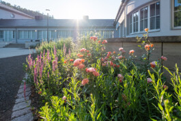 Wengemuth Landschaftsarchitektur