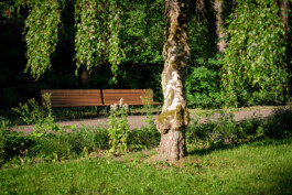 Wengemuth Landschaftsarchitektur