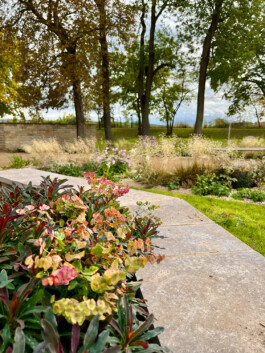 Wengemuth Landschaftsarchitektur