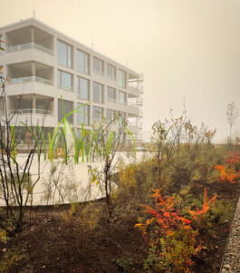 Wengemuth Landschaftsarchitektur