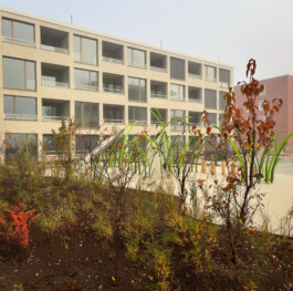 Wengemuth Landschaftsarchitektur