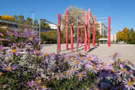 Wengemuth Landschaftsarchitektur