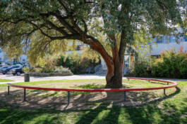 Wengemuth Landschaftsarchitektur