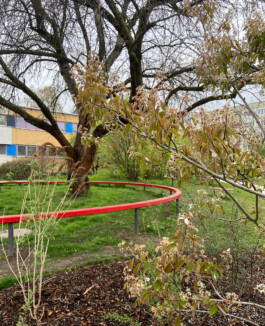 Wengemuth Landschaftsarchitektur