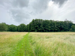 Wengemuth Landschaftsarchitektur