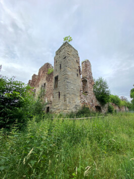 Wengemuth Landschaftsarchitektur