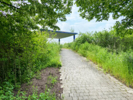 Wengemuth Landschaftsarchitektur
