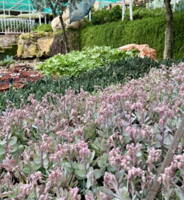 Wengemuth Landschaftsarchitektur